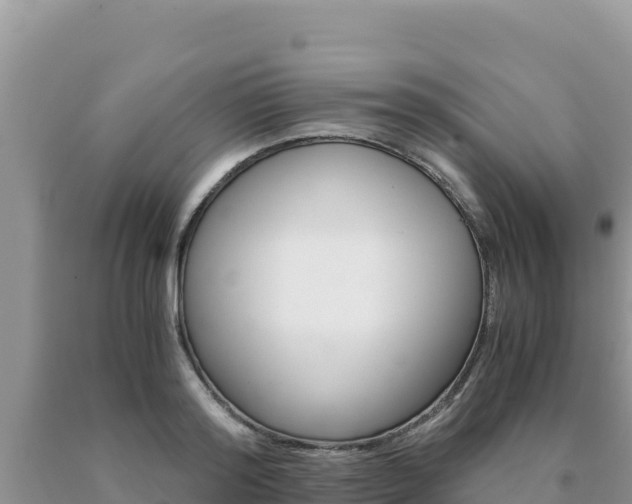 X0000091080796200708061044