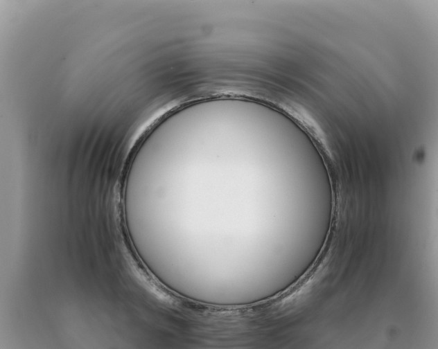 X0000091080798200708061044