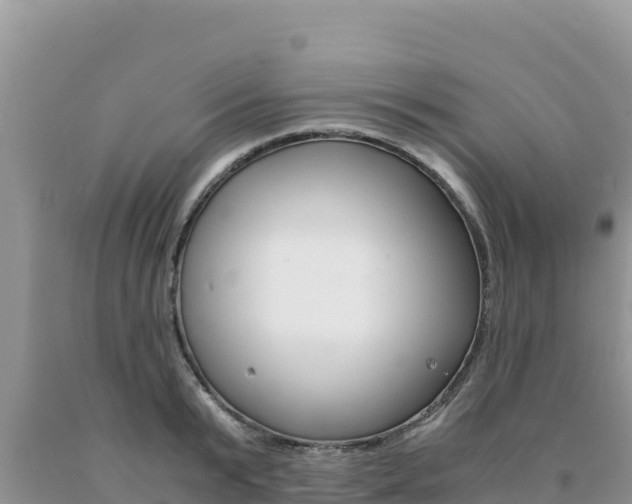 X0000091080799200708061044