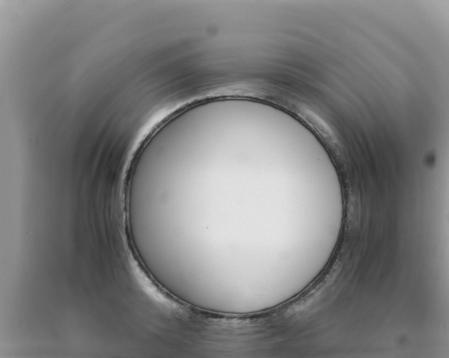 X0000091080800200708061044