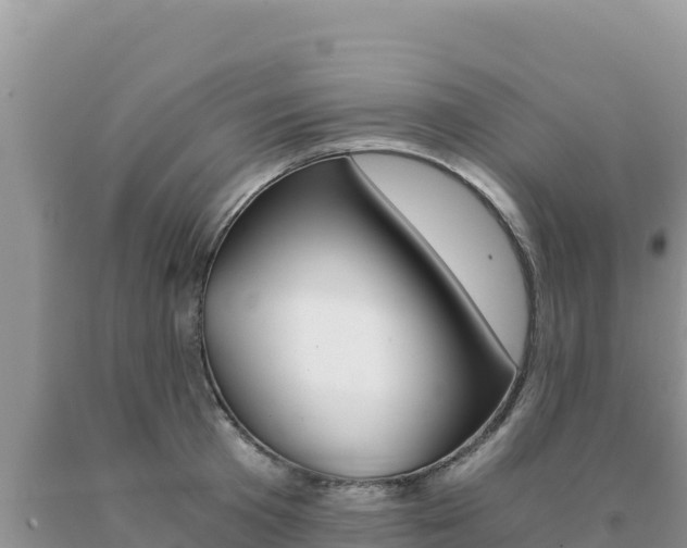 X0000091080801200708061044