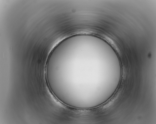 X0000091080802200708061044