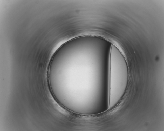 X0000091080803200708061044