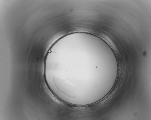 X0000091080804200708061044