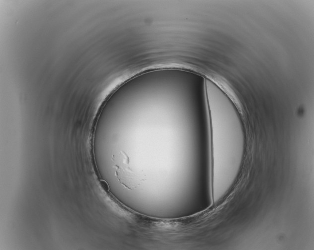 X0000091080805200708061044