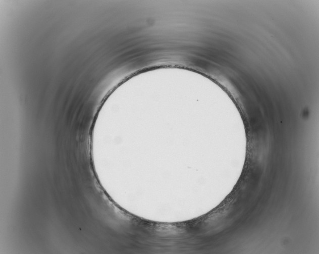X0000091080807200708061044