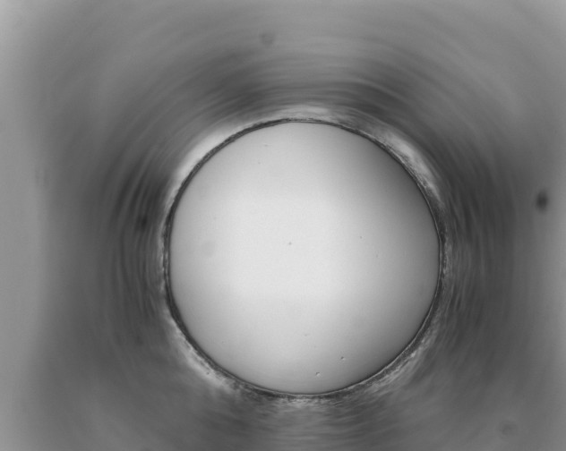 X0000091080808200708061044