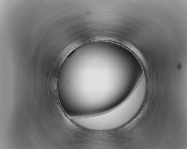 X0000091080809200708061044