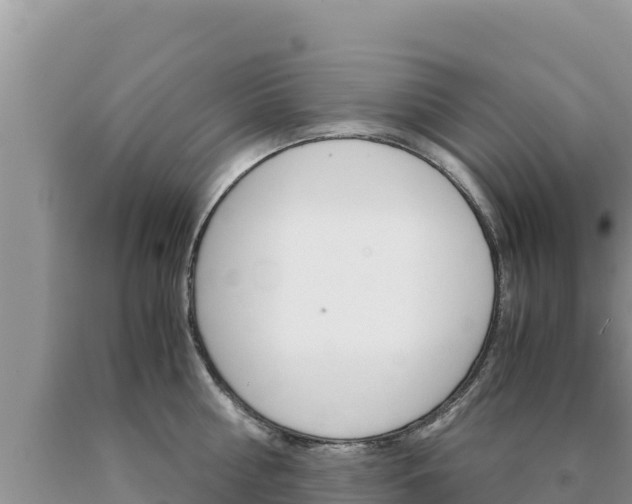 X0000091080810200708061044