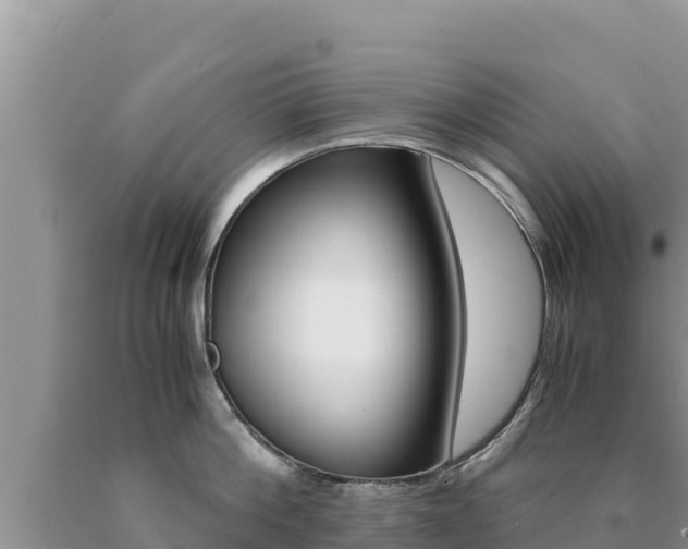 X0000091080812200708061044