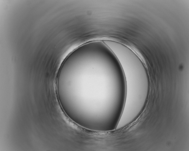 X0000091080813200708061044