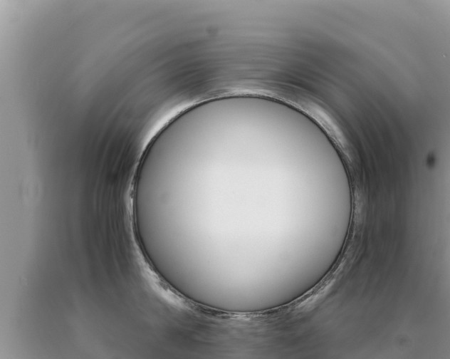 X0000091080814200708061044
