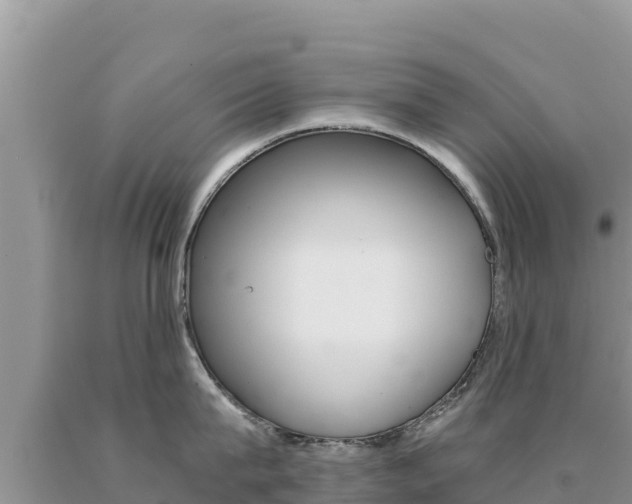 X0000091080815200708061044