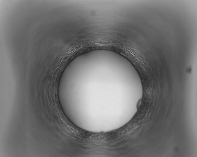 X0000091080817200708061043