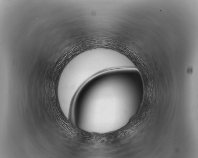 X0000091080818200708061043