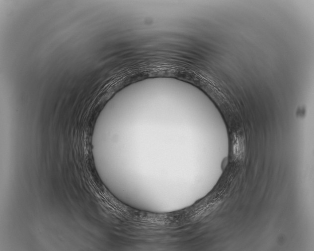X0000091080819200708061043