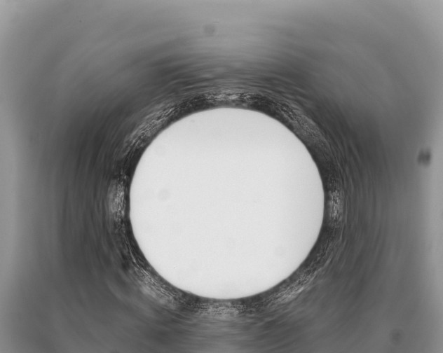 X0000091080820200708061043