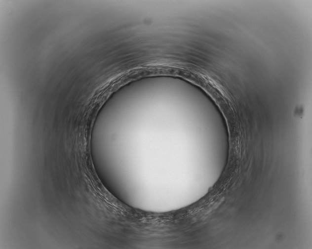 X0000091080821200708061043