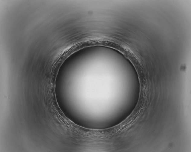 X0000091080822200708061043