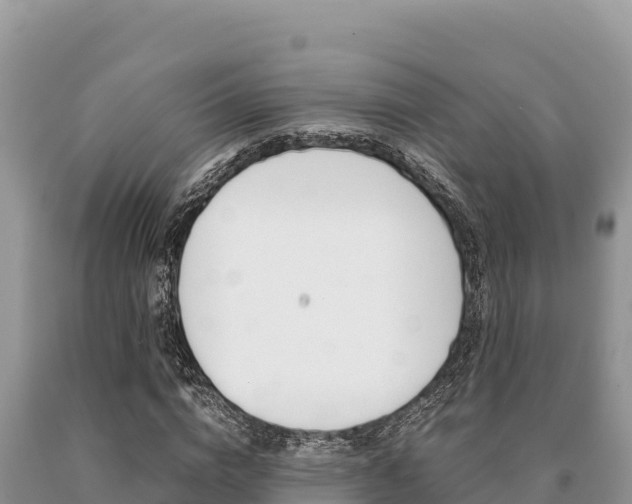 X0000091080824200708061043