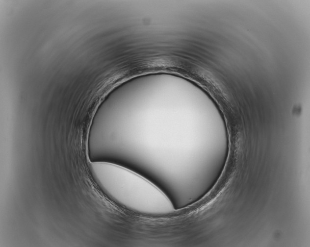 X0000091080825200708061043