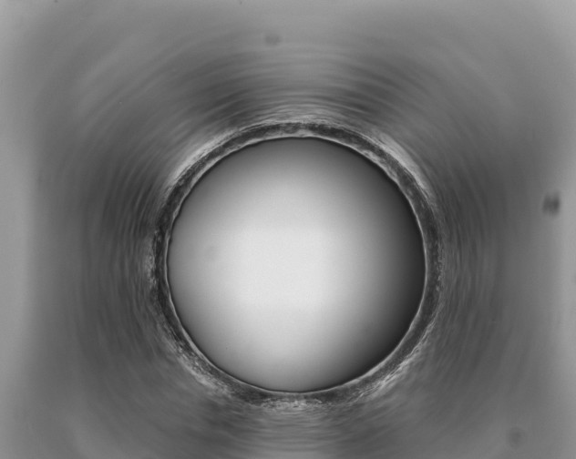 X0000091080826200708061043