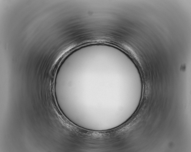 X0000091080827200708061043