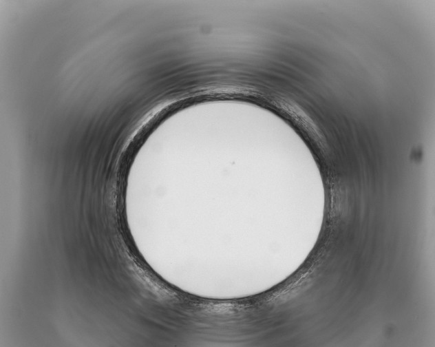 X0000091080828200708061043