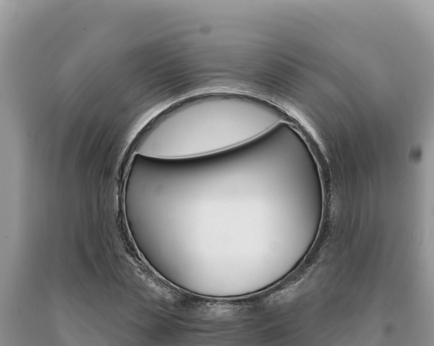 X0000091080829200708061043