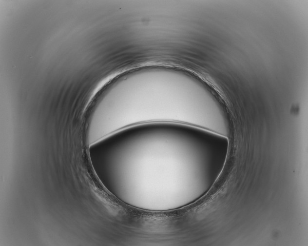 X0000091080830200708061043