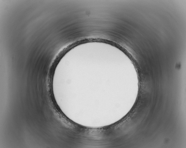 X0000091080832200708061044