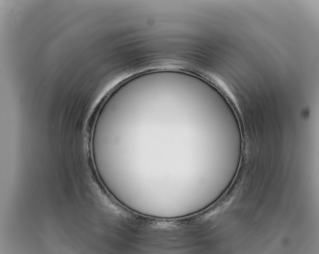 X0000091080835200708061044
