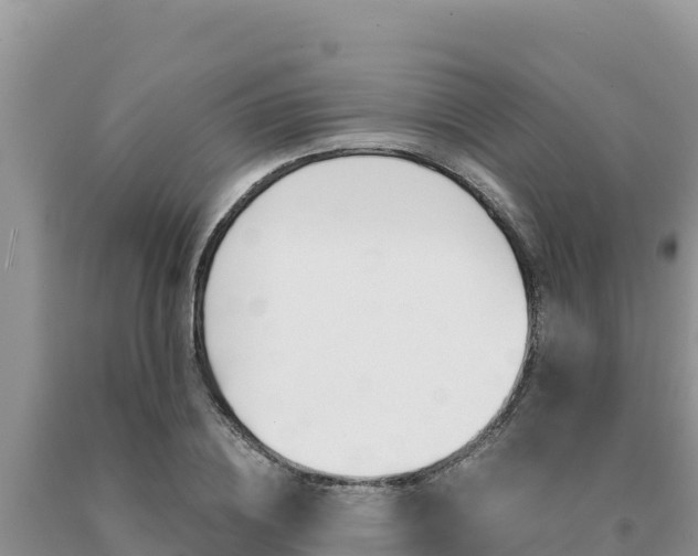 X0000091080836200708061044