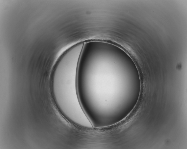 X0000091080838200708061044