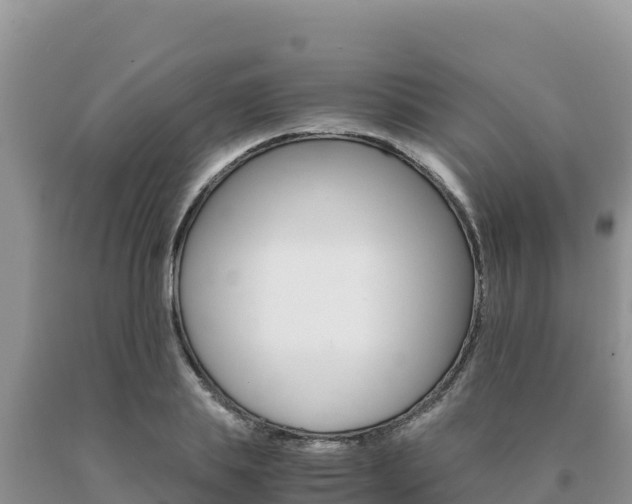 X0000091080839200708061044