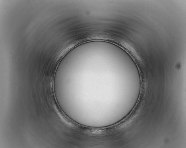 X0000091080841200708061044