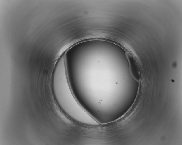 X0000091080842200708061044