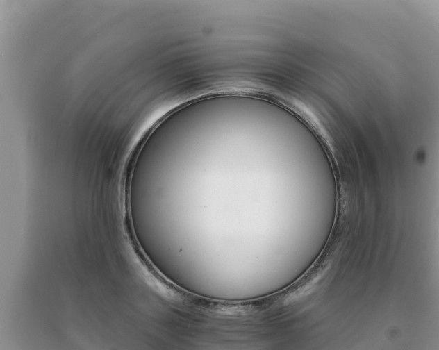 X0000091080843200708061044