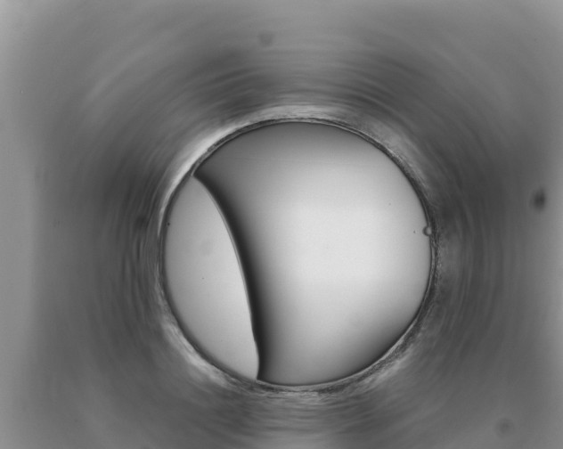 X0000091080844200708061044