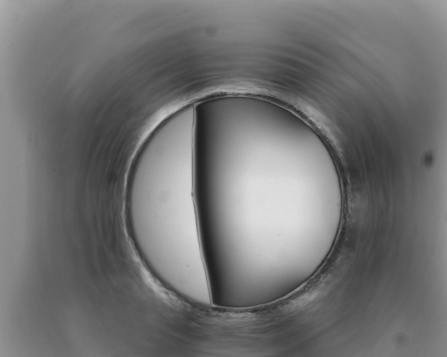 X0000091080845200708061044