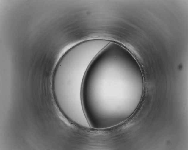 X0000091080846200708061044