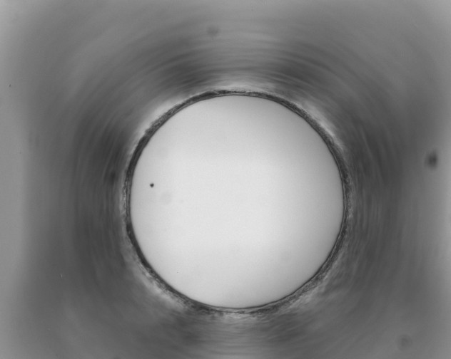 X0000091080848200708061044