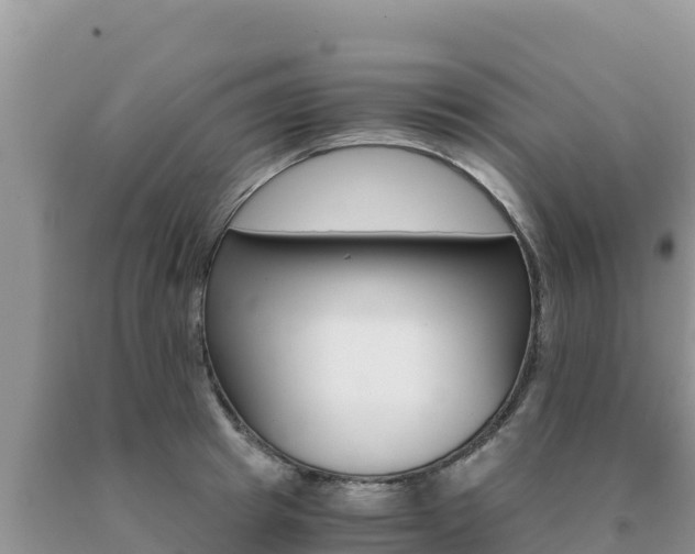 X0000091080849200708061044