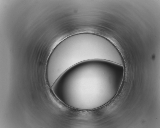 X0000091080850200708061044