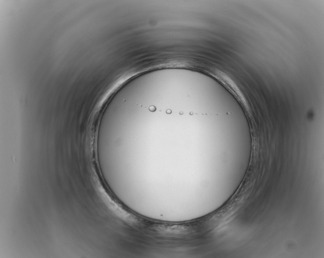 X0000091080851200708061044