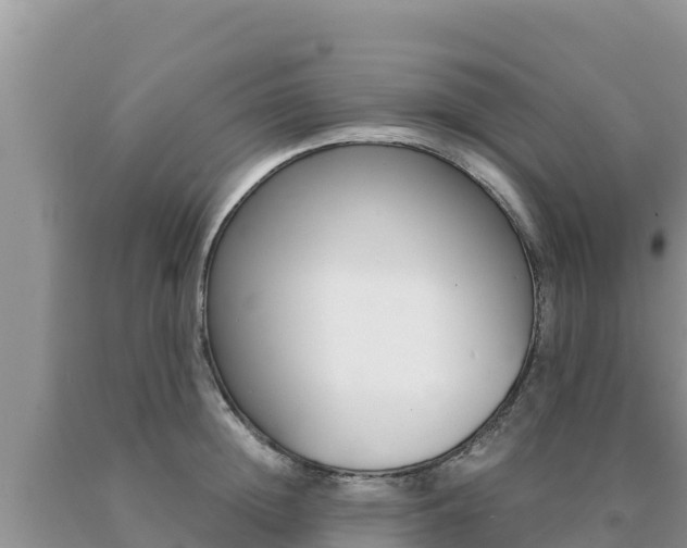 X0000091080852200708061044