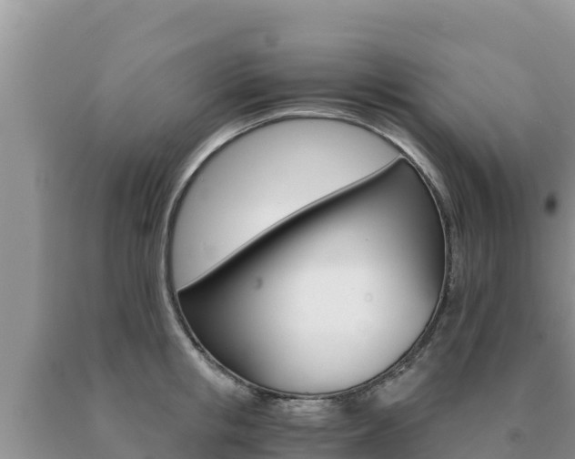 X0000091080853200708061044