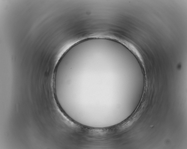 X0000091080855200708061044