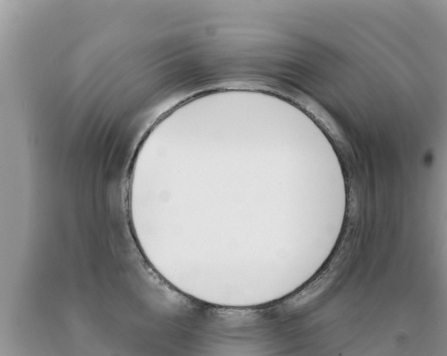 X0000091080856200708061044