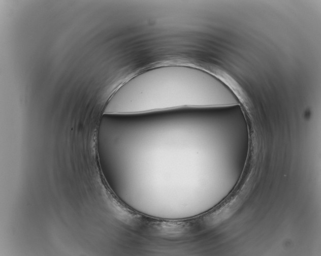 X0000091080857200708061044